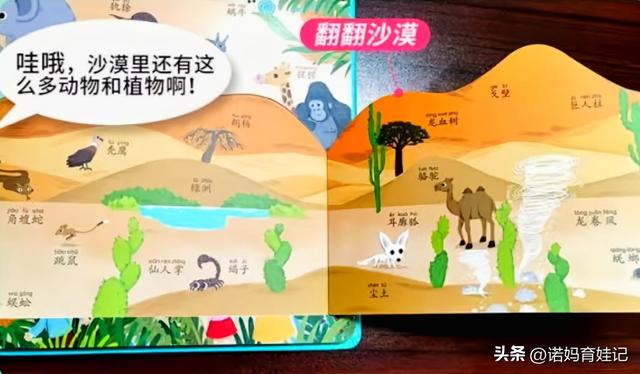 敏感期和关键期的区别，儿童的敏感期和关键期（家长明白其概念的本质）