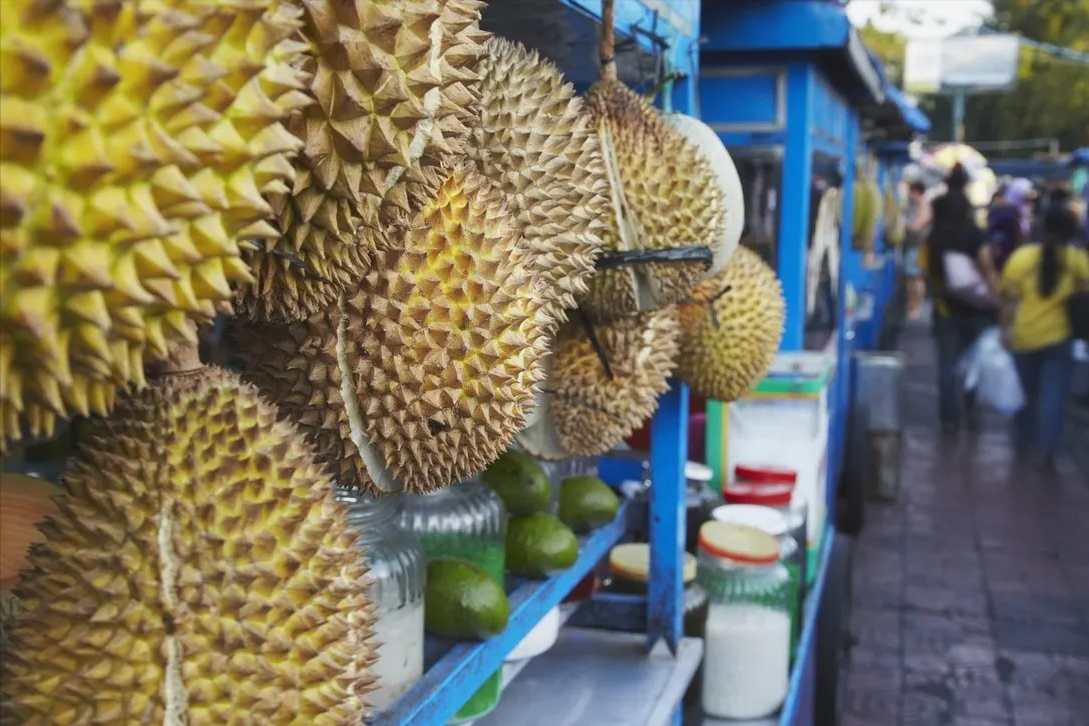 榴莲什么时候最便宜，榴莲什么季节最便宜（3个原因残酷却很现实）