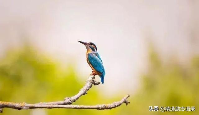 照顾好自己暖心的话，照顾好自己......