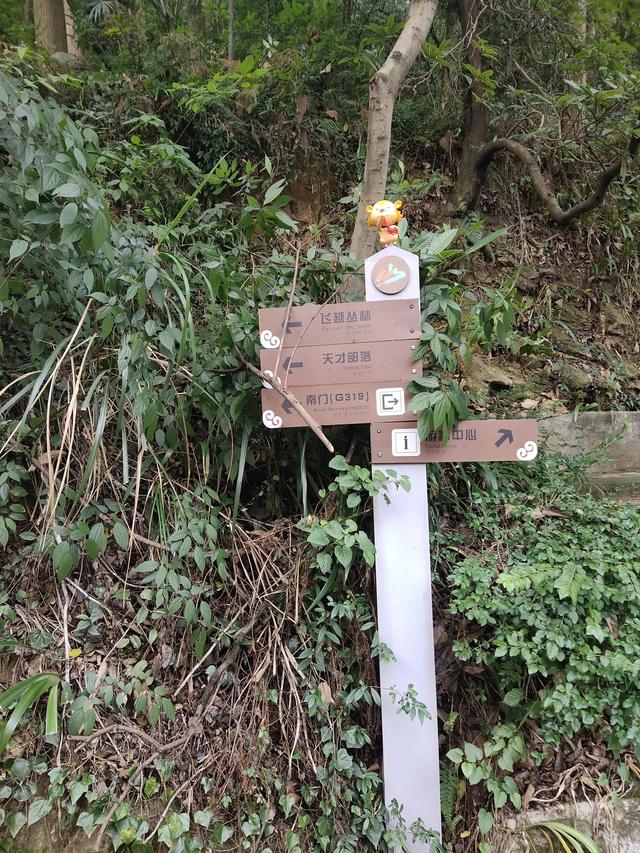 歌乐山森林公园，重庆旅游必去景点（歌乐山国家森林公园）