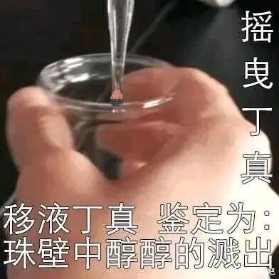 丁真是什么梗，丁真是什么梗雪豹（品鉴汉语言博大精深的魅力）