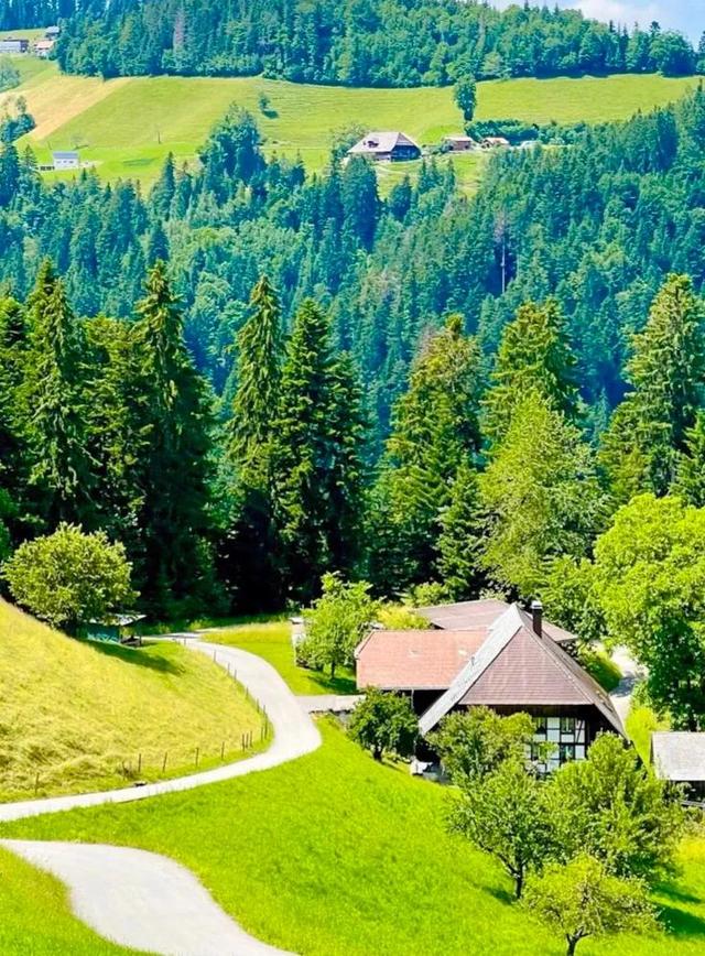 不如名师指路前面一句是什么，不如名师指路前面一句是什么成语（就是看透而不说透）