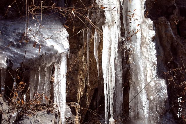 遥看瀑布挂前川的遥看是什么意思，遥看瀑布挂前川的遥是什么意思啊（已是悬崖百丈冰）