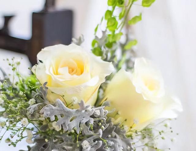 亲情指的是什么呢，亲情指的是什么呢英文（人到晚年才懂：什么是亲情）