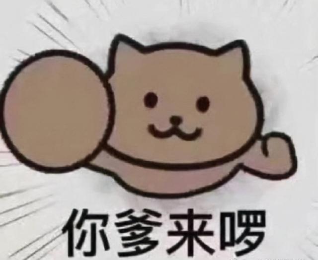 又当又立是什么意思，又当又立什么意思（这些梗新鲜出炉，一起来了解下）