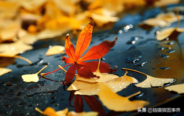 拍照片基本技巧，拍照片基本技巧和方法（可以提升照片的美感）