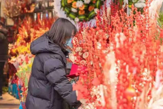 武汉花鸟市场，武汉花鸟市场几点关门（2022武汉迎春花市明日开幕）