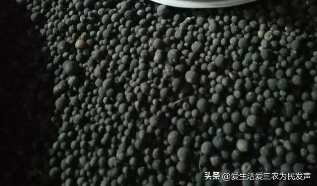 农村做什么致富，当今社会在农村做什么能致富（三个一般人不知道的赚钱项目）