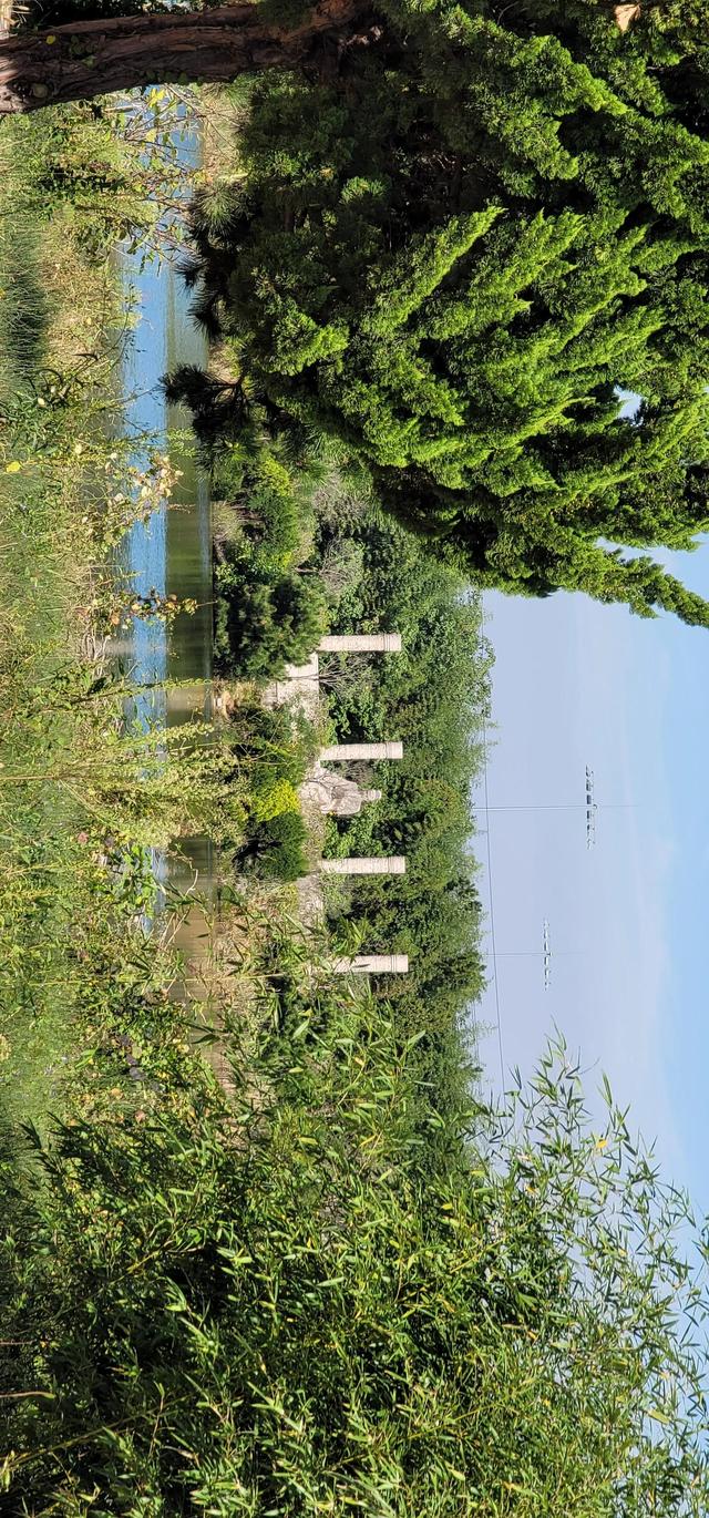 上海到青岛多远，上海到青岛的路程（上海青岛往返1400公里全程无高速沿途城市蜻蜓点水游）