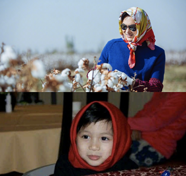 新疆摘棉花是什么梗，张智霖戴头巾摘棉花被阿姨误认为20多岁