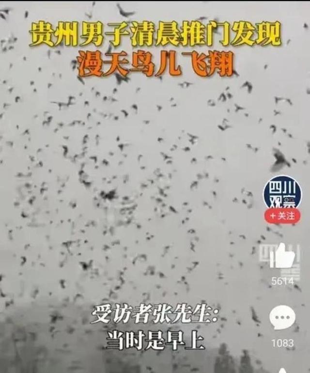 全球地震带分布，全球最多的地震带在哪里（土耳其与我国西南属同地震带）