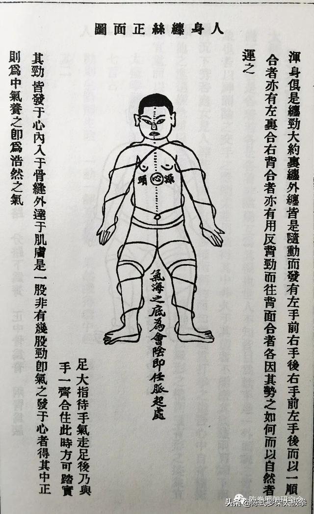 使劲的劲多音字组词,劲的多音字组词有哪些(太极拳之"劲")