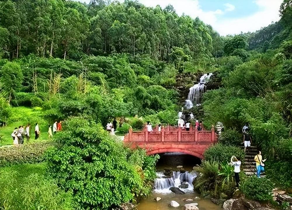 东莞自驾一日游更佳景点，打卡松山湖黄花风铃木+水濂山森林公园