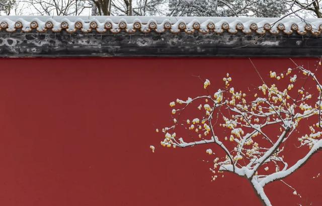 经典花诗歌句子，诗与花唯美句子（10首咏雪诗词）