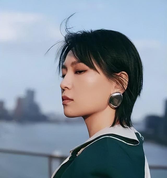 那英个人资料简介，那英个人资料简介及（内地歌坛的“半壁江山”）