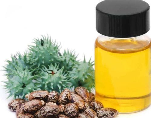 并且根据蓖麻的茎叶颜色,果实是否有刺,种子大小和斑