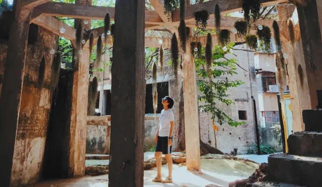 惠州澳头有什么好玩的，惠州澳头有什么好玩的吗（2021年最后一个慢时光的周末）