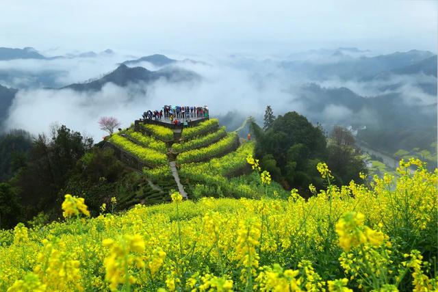 風光迤邐和風光旖旎有區別嗎,迤邐和旖旎的區別(一起領略黃山迤邐風光