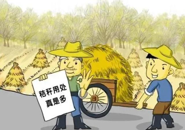 禁止烧秸秆是谁提出来的，不能烧秸秆是谁提出来的（秸秆焚烧：沿袭千年的农业习俗）