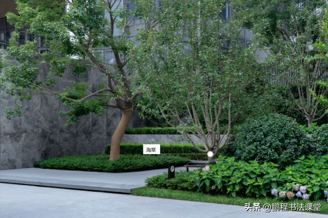 梦见植物是什么征兆，干货丨植物寓意篇