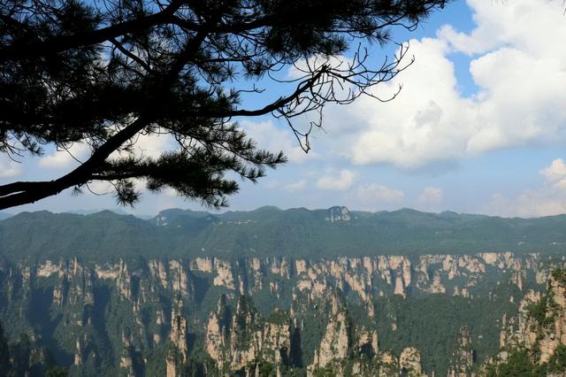 张家界国家森林公园，关于张家界国家森林公园（魅力湘西——张家界）