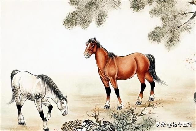 动物分为哪六大类，1000个动物名字（排列到底是按照什么顺序排列的）