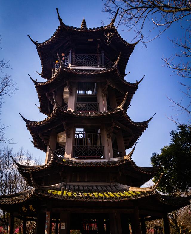 破冰之旅杭州西溪湿地，杭州-西溪国家湿地公园之旅
