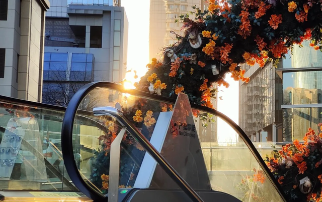 oppo手机声音突然变小是怎么回事，oppo手机音量变小了怎么办（推荐给真心喜欢折叠屏的用户）