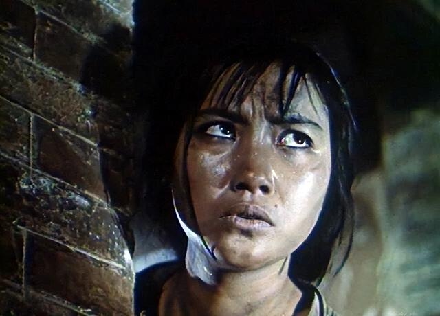 大陆女明星排行榜，中国女演员名单大全（给“22大明星”中12位女星演技排个名）