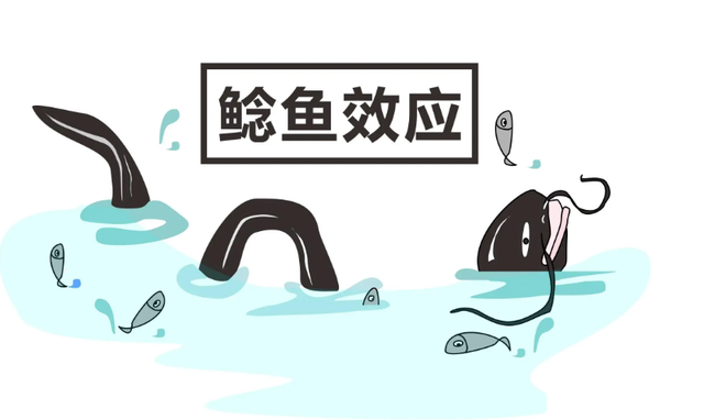 管理心理学案例，著名的管理心理学效应（团队需要引入竞争机制）