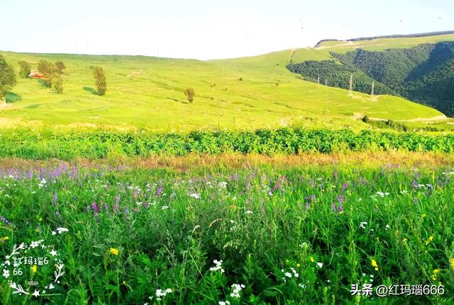 尖山风景区攻略，假期一家人出游蔚县飞狐峪里的尖山