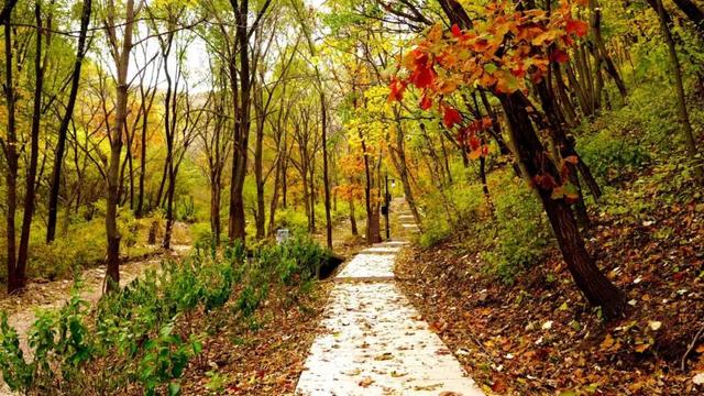 延庆旅游景点大全排名，怀柔旅游景点大全排名（延庆自然探索之旅）