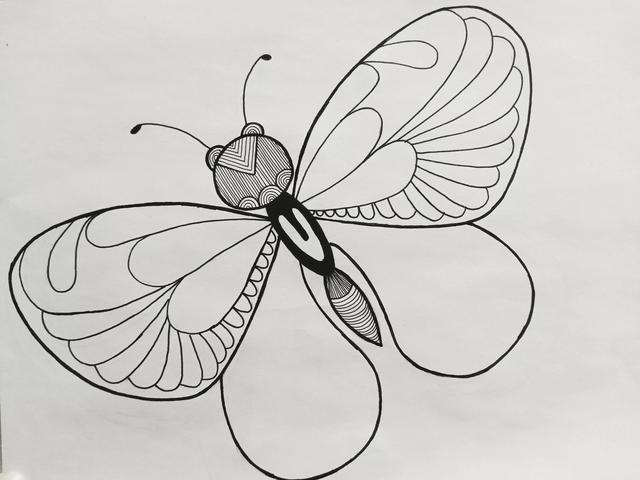蝴蝶怎么画简单好看，如何画一个简单蝴蝶（《蝴蝶》线描画绘画过程）