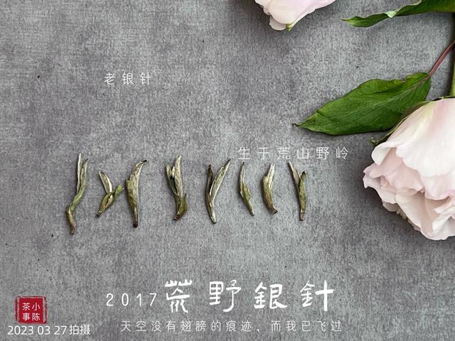 绿茶保质期一般多久，家里放了20年的绿茶、红茶、白茶