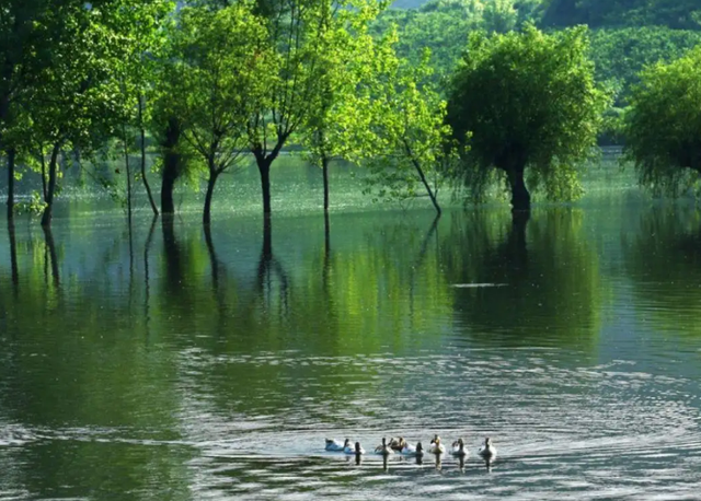 赞美春天的话，写一句赞美春天的话（有你未曾发现的风景）