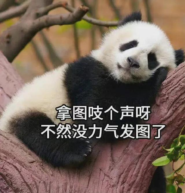 我只想好好爱你，我只想好好爱你英文，微信头像（我想永远保护你）