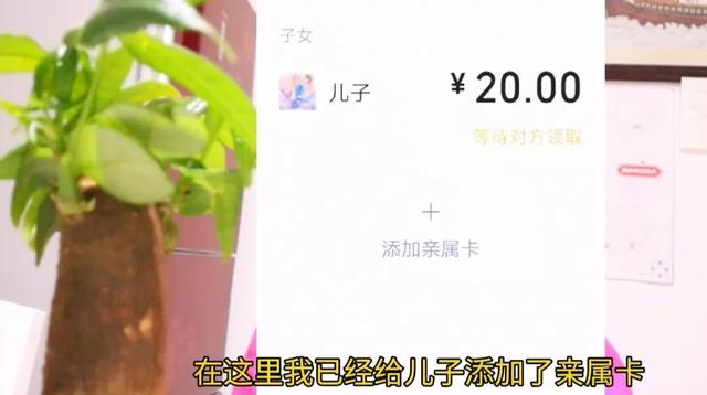 新微信号怎样开通微信支付，新微信号怎样开通微信支付码（微信里没有零钱未绑银行卡）