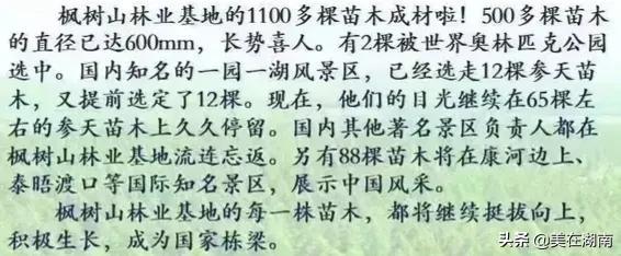 衡阳县第一中学，衡阳县一中清北班有几个（2022年湖南部分学校的高考成绩）