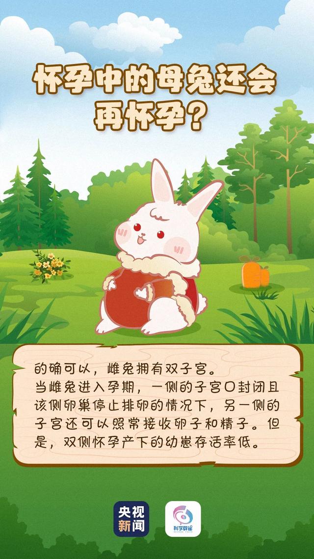 小白兔喜欢吃什么，小白兔外貌特征描写（兔子眼睛是红色的）