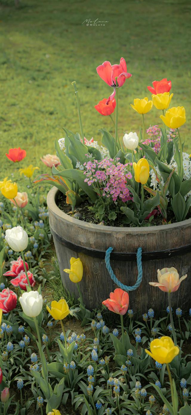 手机纸壁。，手机壁纸套装（精选高质量手机壁纸<388>图片）