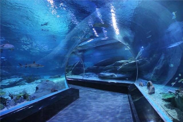 青岛景点介绍，青岛旅游景点介绍大全（10个推荐景点及周边玩法攻略）