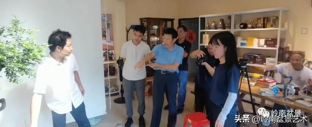 黑骨茶盆景怎么养护，黑骨茶盆景怎么养护视频（一棵黑骨茶盆景的改作引来老中青少四代树痴乐此不疲）