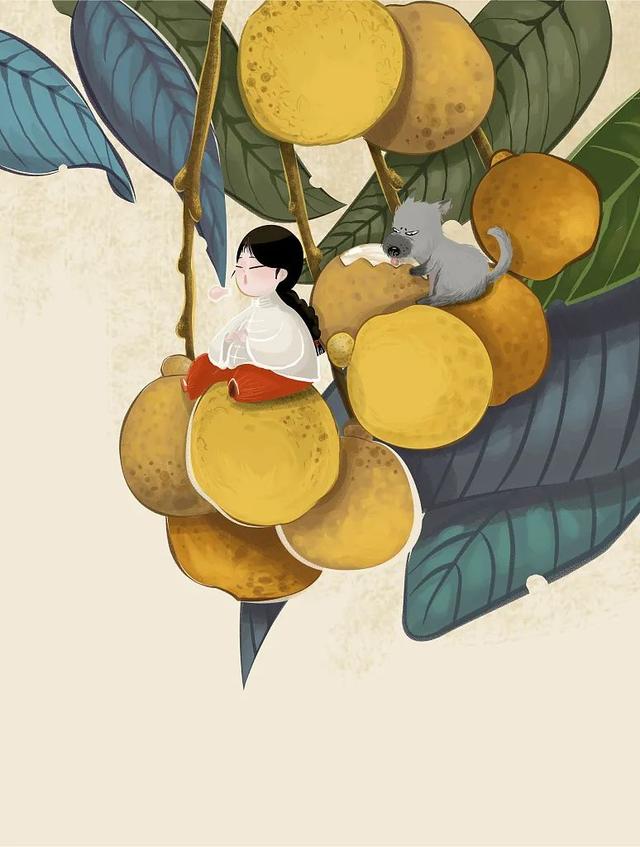 衤字旁的笔顺视频，衣字的笔顺怎么写（白露，露从今夜白，月是故乡明）