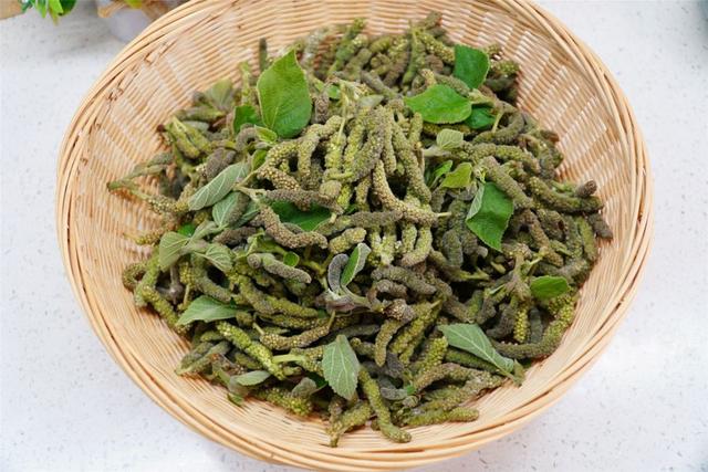 构树穗怎么吃，春天最“低调”的野菜（构树穗怎么吃法视频）