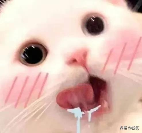 女头像ins风，精选高冷系ins风女头微信（承包韩国女生的头像大户）