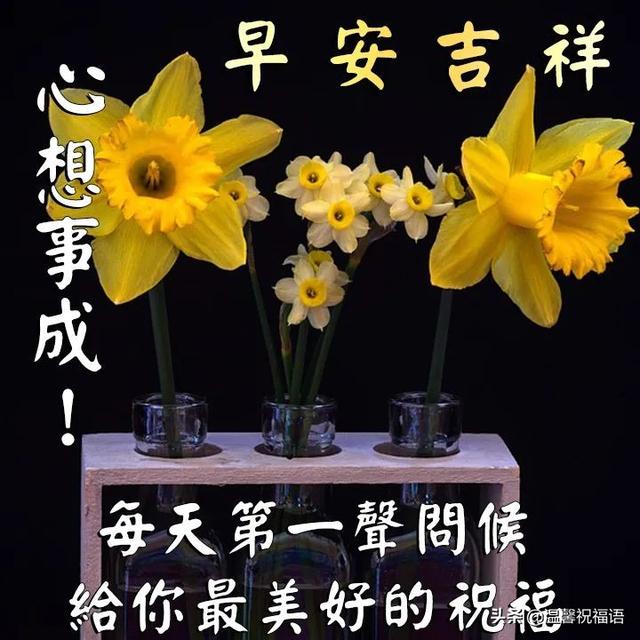 春天的早安問候語,春天早安問候語2022最新(5月11日清晨最新早上祝福