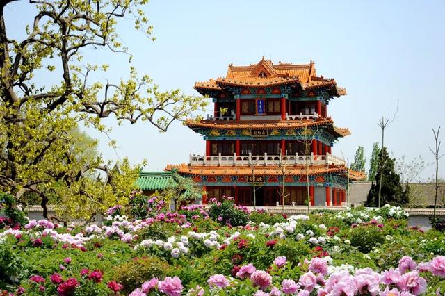 青岛和日照哪个好玩,日照和黄岛哪个地方好玩(山东这几条骑行路线)