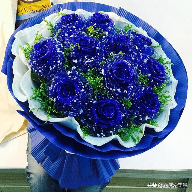 蓝色妖姬花语，分享图片—醉美的蓝色妖姬（蓝色妖姬花语文案）