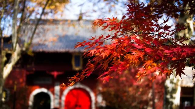 10种代表秋天的景物，秋天的景色有哪些（这10个小众绝美的秋景地）