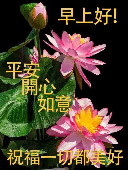 简短每日寄语，简短每日祝福语（早上好每天一句祝福语）